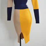 Elegant Colorblock Turtleneck Sweater Dress