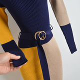 Elegant Colorblock Turtleneck Sweater Dress