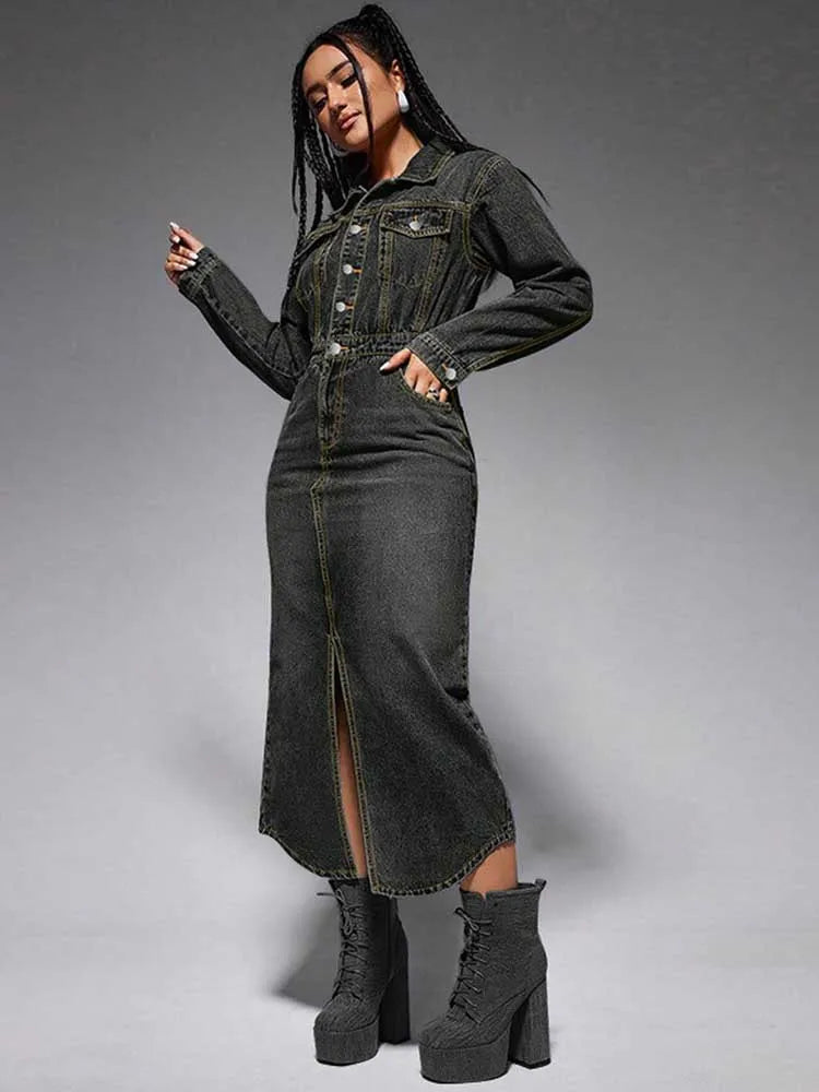 Turn-Down Collar Denim Maxi Dress by Crystal Crystina, alternate view 2
