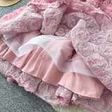 3D Flower Applique Dress